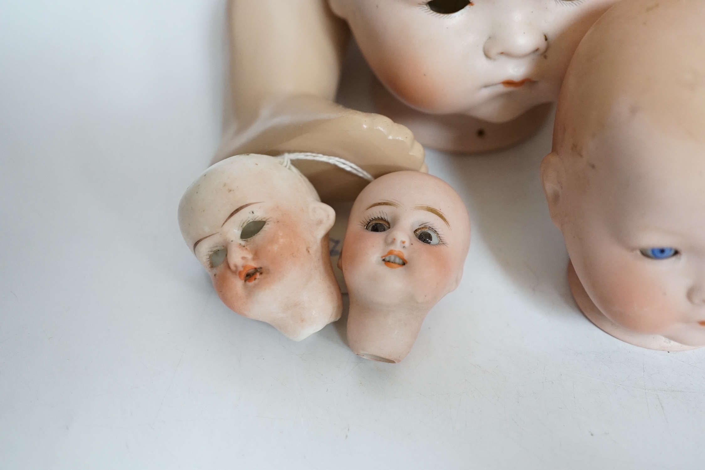 Ten bisque doll's heads and a reproduction Jules Steiner doll